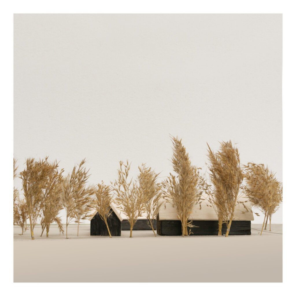 Farmosi Madárvárta