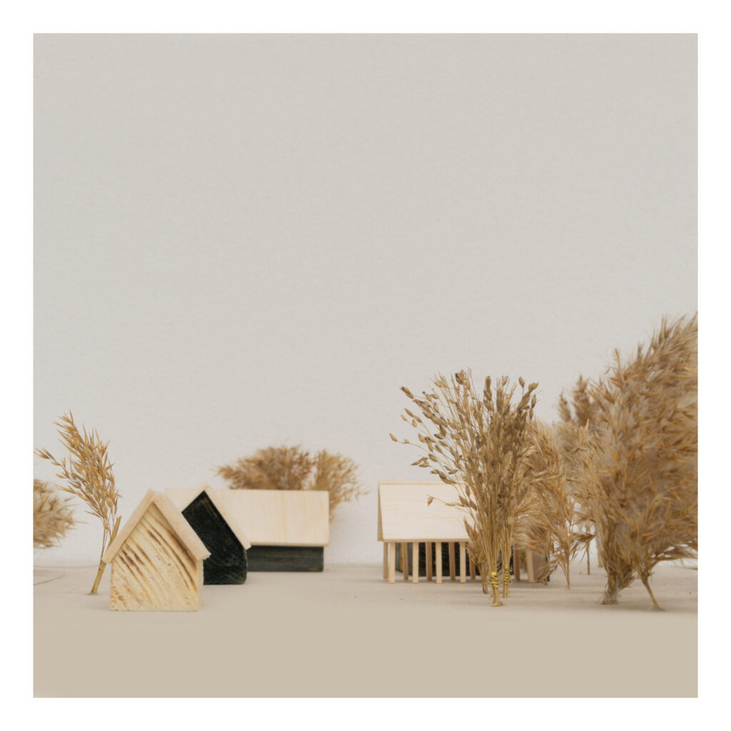 Farmosi Madárvárta